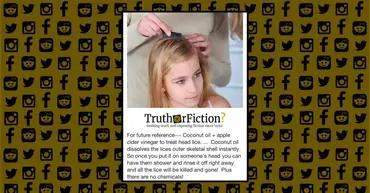 Can Apple Cider Vinegar And Coconut Oil Defeat Head Lice Truth