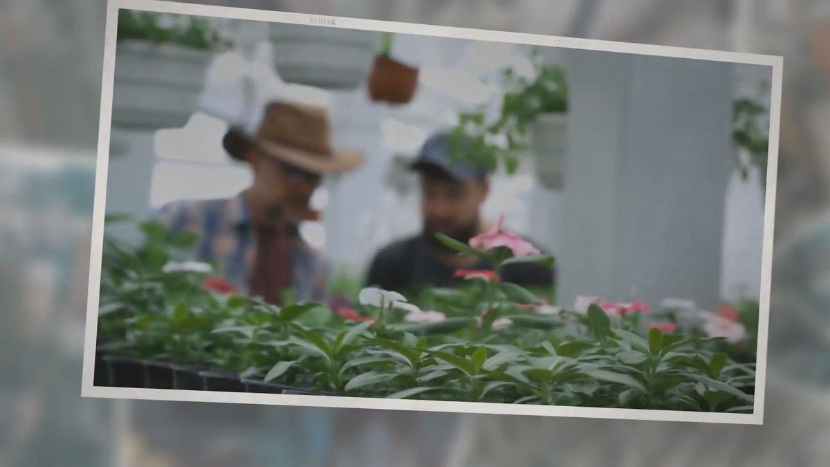 Humix video