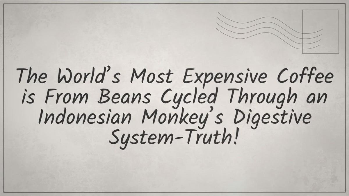 The World's Most Expensive Coffee is From Beans Cycled Through an