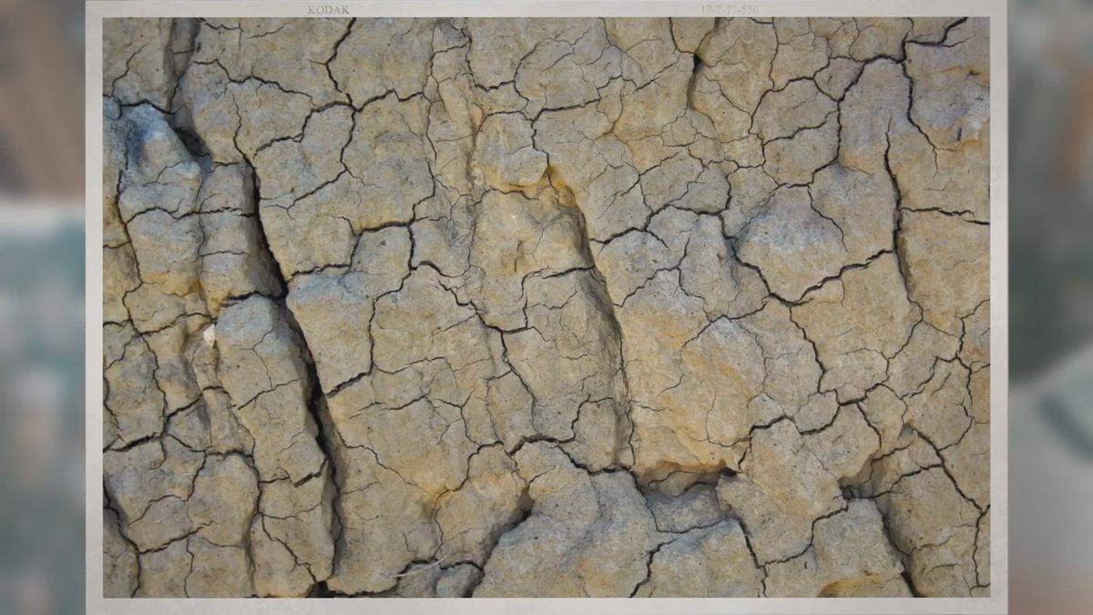 'Video thumbnail for Do Fossils Have Cells?'