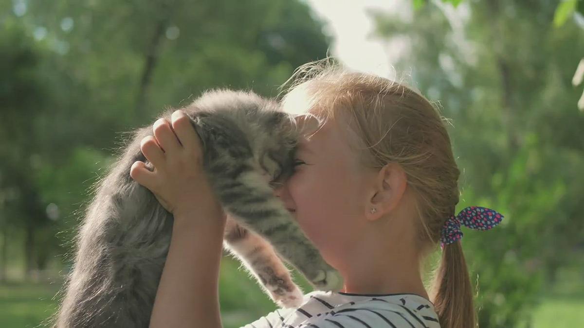 'Video thumbnail for Cat Body Language. A Helpful Educational Guide'
