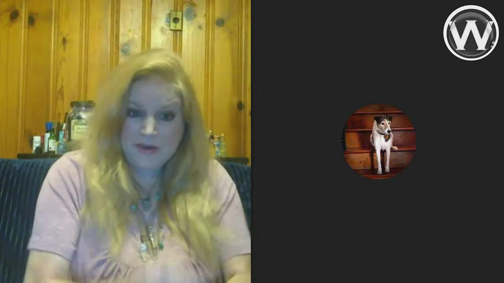 'Video thumbnail for McCann Suspect, Depp On The Stand, Handyman Arrested, We go live @10_20 PM ET-(720p30)'