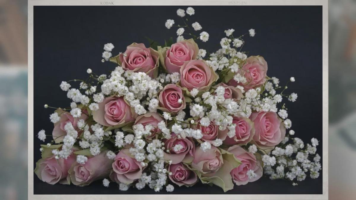 'Video thumbnail for Can Roses Be Blue?'