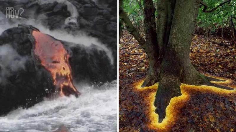 'Video thumbnail for 32 Nature Photos That Are Hard To Believe But Are Indeed Real - Science & Mystery'