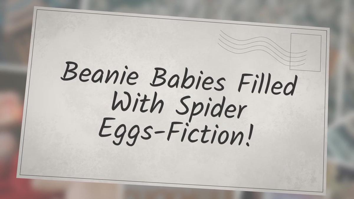 'Video thumbnail for Beanie Babies Filled With Spider Eggs-Fiction!'