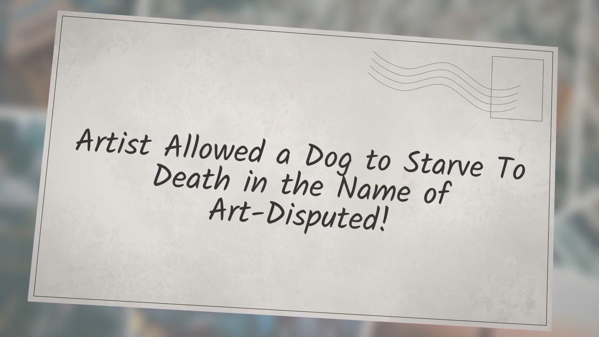 'Video thumbnail for Artist allowed a dog to starve to death in art exhibit-Disputed!'