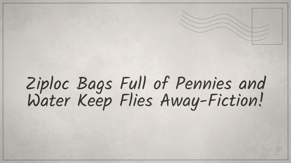 Ziploc Bags Full of Pennies and Water Keep Flies Away Fiction!