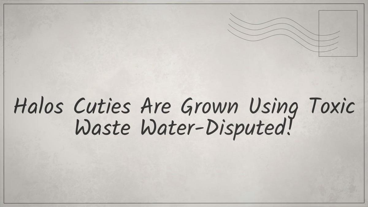 Halos Cuties Are Grown Using Toxic Waste WaterDisputed!