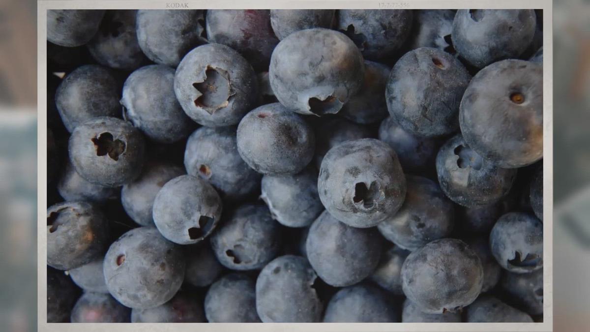 'Video thumbnail for Do Blueberries Have Seeds?'