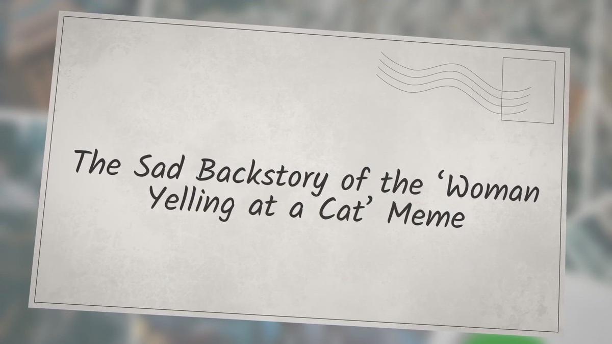 'Video thumbnail for The Sad Backstory of the ‘Woman Yelling at a Cat’ Meme'