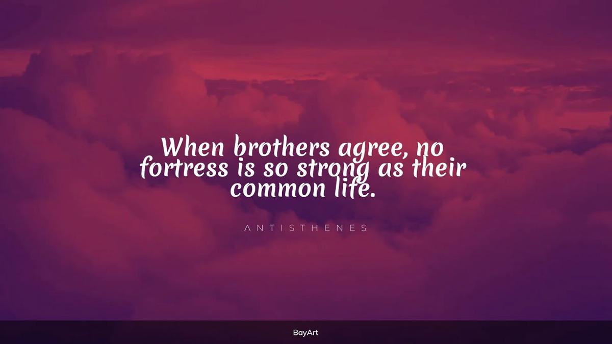 'Video thumbnail for 274+ Memorable Brother Quotes'