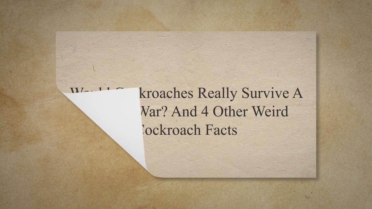 'Video thumbnail for Would Cockroaches Really Survive A Nuclear War? And 4 Other Weird Cockroach Facts'