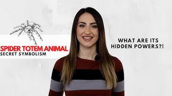'Video thumbnail for Spider Spirit Animal - Shocking Info Revealed!'